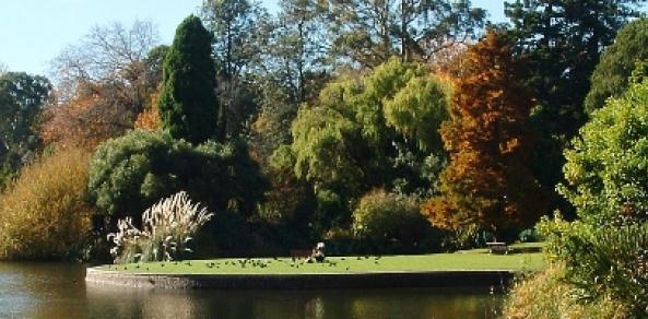 Ornamental Lake, Melbourne Royal Botanical Gardens